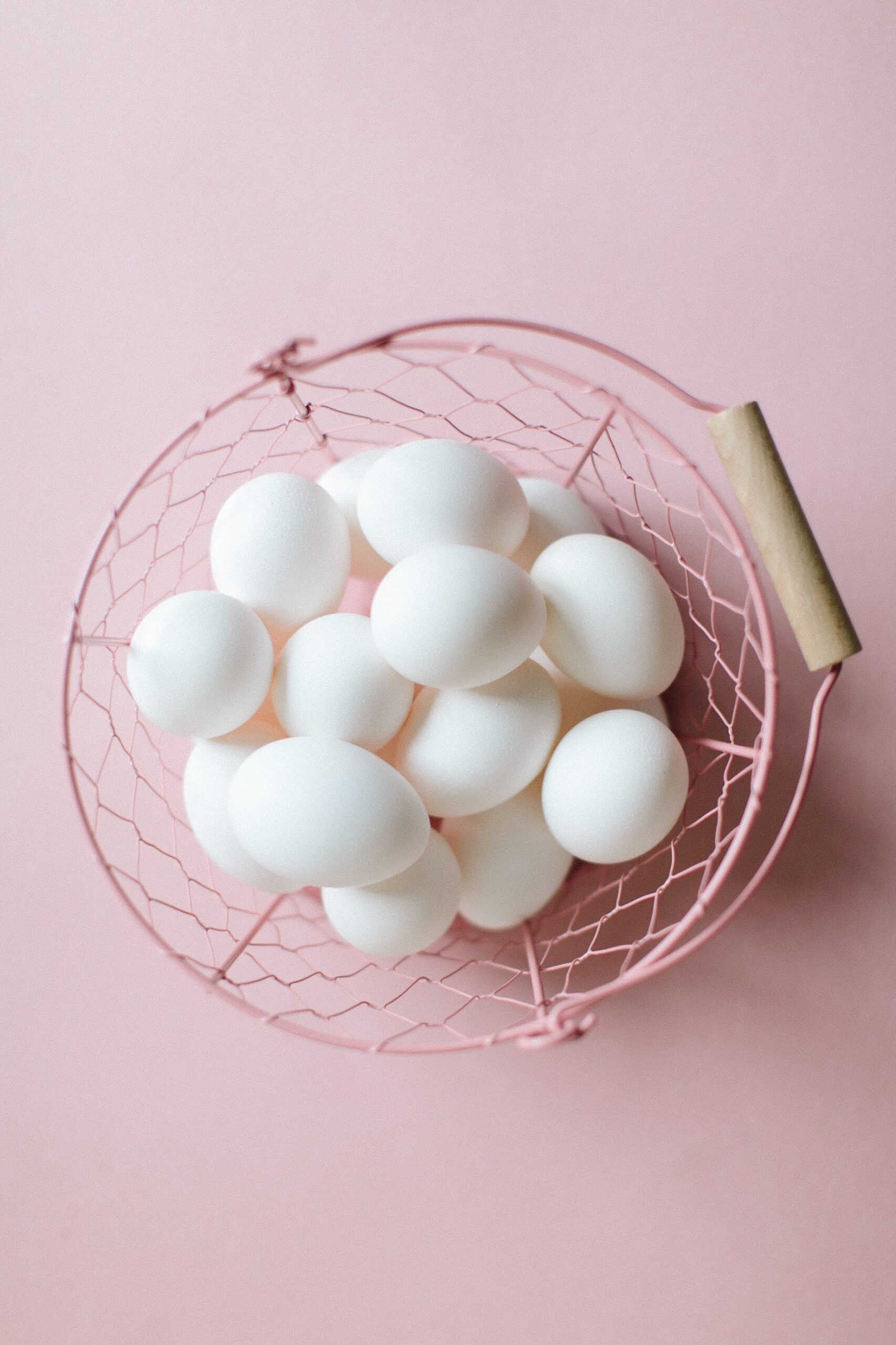 Exotic-Parrots-Farm-scaled-1 Congo African Grey Parrot Eggs - Image 1