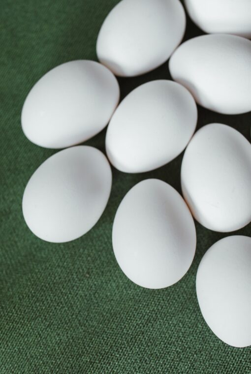parrot-eggs-510x760-1 African Grey Parrot Eggs - Image 1